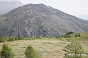 VBS_2613 - Fioritura Narcisi Castelnuovo Nigra 2022 e campi di papaveri rossi